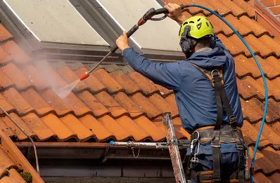Démoussage et hydrofuge de toiture à Faymoreau